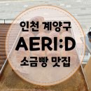 애리AERI:D 이미지