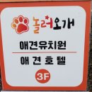 놀러오개 이미지