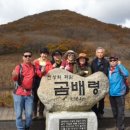 청산화원 이미지