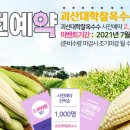 대학찰옥수수 이미지