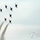 블랙이글 이미지