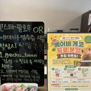 안*빈 | 빛가람동 이색 카페 | 도마뱀 체험 분양 카페 나주 게코빈 방문 후기