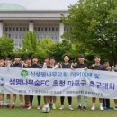 생명나무숲 이미지