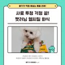 헬씨펫 | 펫러닝 헬씨밀 후기 빠기가 먹어보는 강아지 화식 리뷰