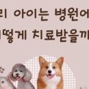 다가온 동물병원 이미지