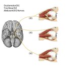 동인한의원 이미지