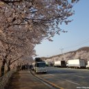 용평사거리 이미지