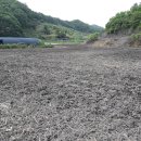 용부동산중개사무소 이미지