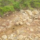 토함산관광농원 이미지