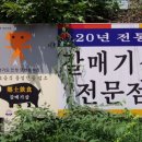 유명갈매기 이미지