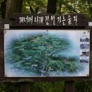 남산 홍주사 이미지