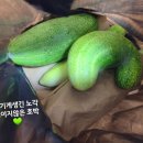 한눈으로 읽는 서양미술사 이미지