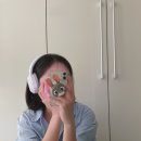 브리츠 BT4000ANC 헤드폰 구매후기