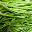 도덕농장 이미지