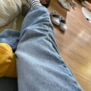 시온테라 | 개 강