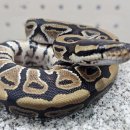 장기역 화장실 이미지