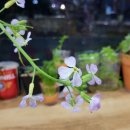 세븐일레븐 영덕우진점 이미지