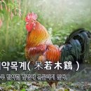 [오늘의 고사성어] 매약목계(呆若木鷄) - 나무 닭처럼 감정에 흔들리지 않다. 이미지