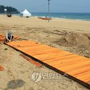 삼척해수욕장C 이미지