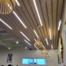 국수나무 비산점 이미지