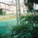 양화진 골프 이미지