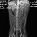 제천 그레이스 동물병원 이미지