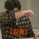 리플로라 이미지