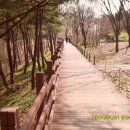 정이네유통 이미지