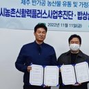 법인태송농업