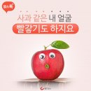 사과같은내얼굴 헬스조선