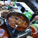 March rabbit(마치 래빗) 이미지