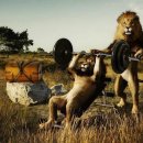 우리휘트니스 이미지