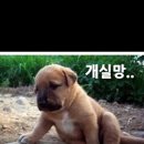없음 이미지