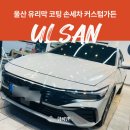 삼산셀프세차장 | 울산 유리막 코팅 손세차 잘하는 커스텀가든 재방문후기