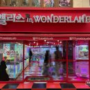 엘리스(인형뽑기방) 이미지