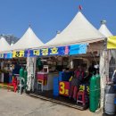 금강물회 | 2026 속초 오징어난전 개장! 7개월 아기랑 대경호 오징어회·물회 솔직후기 (내돈내산)