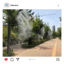 인천영종초등학교 앞 이미지