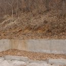신시리 이미지