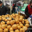 하나로수산동 이미지