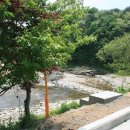 명품유황오리 이미지