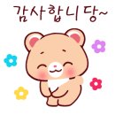 오혜숙 생활단식&더뷰티&정경지사 네이버블로그