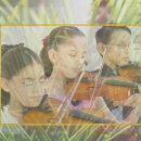 바이올린 첫 걸음 이미지