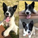 동아당한약방 이미지