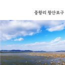 왕산이로 이미지