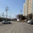 산채마을 능이백숙 이미지