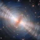 Seed of Li 이미지