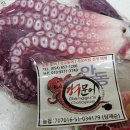 안동강구문어 네이버블로그