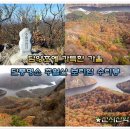 10/5[토]담양 추월산 보리암 담양호(명산100+)-산행안내/좌석표 이미지