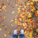 경의선숲길 | 공덕역 맛집 굴다리 식당 &amp; 경의선 숲길공원 다녀온 후기