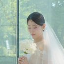 딜라이트 하단점 | 딜라이트필름 보테가마지오 하이라이트 영상 웨딩 본식 dvd 스틸컷+신부님 후기